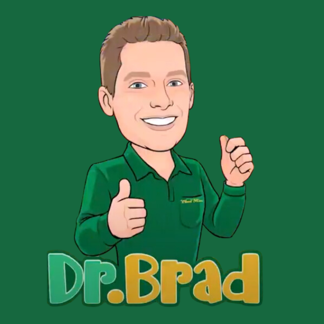 Dr Brad